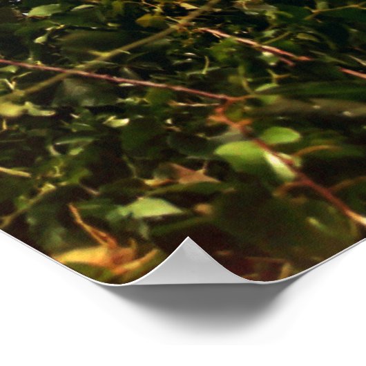 Cape Henry Lighthouse ポスター (角)