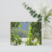 Cape Tribulation - Australiaはがき ポストカード (スタンド正面)