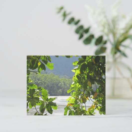 Cape Tribulation - Australiaはがき ポストカード (スタンド正面)