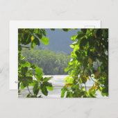 Cape Tribulation - Australiaはがき ポストカード (正面/裏面)