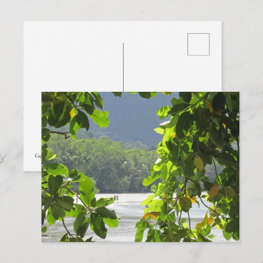 Cape Tribulation - Australiaはがき ポストカード (正面/裏面)