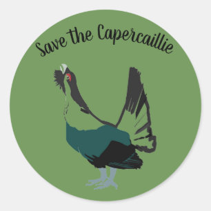 Capercaillie bird Art Roundステッカー、光沢 ラウンドシール