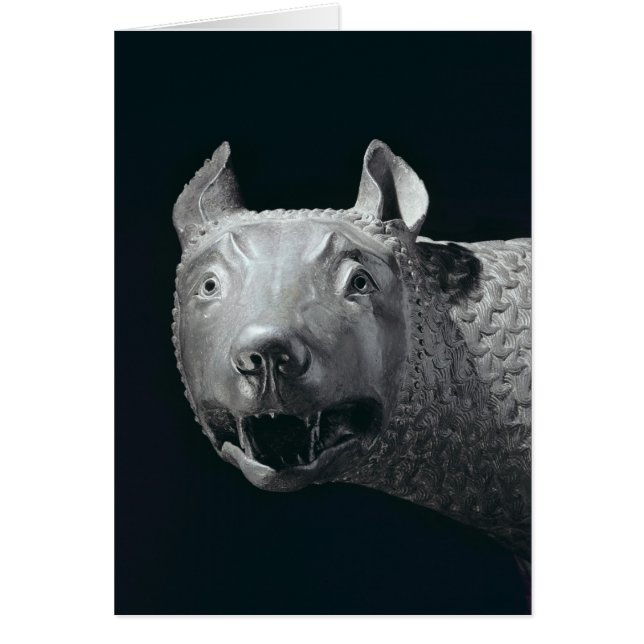 Capitolineの彼女オオカミ (正面)