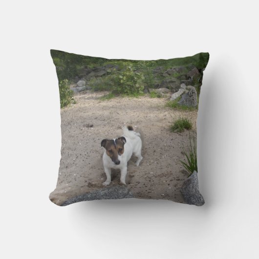 CapoフォンOppenheimジャックラッセルテリア、犬 クッション (正面)