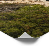 Capo Cacia, Alghero, Sardinia，イタリア ポスター (角)