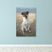 Capo von Oppenheim、ジャック・ラッセル・テリアー、犬 キャンバスプリント (インサイチュ (ウッドフロア))