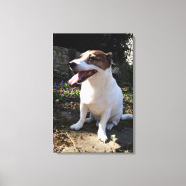 Capo von Oppenheim、ジャック・ラッセル・テリアー、犬 キャンバスプリント