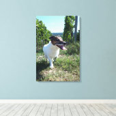 Capo von Oppenheim、ジャック・ラッセル・テリアー、犬 キャンバスプリント (インサイチュ (ウッドフロア))