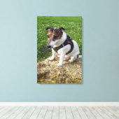 Capo von Oppenheim、ジャック・ラッセル・テリアー、犬 キャンバスプリント (インサイチュ (ウッドフロア))