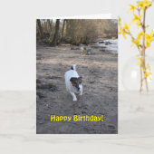 Capo von Oppenheim Jack Russell Terier、ドッグ カード (黄色い花)
