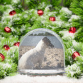 Capo von Oppenheim, Jack Russell Terrier Dog (クリスマス)