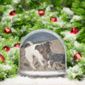 Capo von Oppenheim, Jack Russell Terrier Dog (クリスマス)