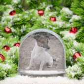 Capo von Oppenheim, Jack Russell Terrier Dog (クリスマス)