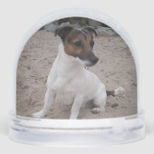 Capo von Oppenheim, Jack Russell Terrier Dog (裏面)