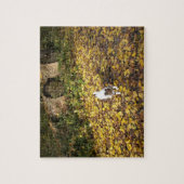 Capo von Oppenheim, Jack Russell Terrier Dog ジグソーパズル (縦)