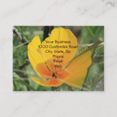 CAPoppy名刺 名刺 (裏面)