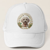 Cappello Ufficiale Cody - Coton Detectives キャップ (正面)