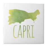 Capri タイル (正面)