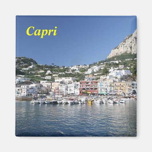 capri_island、カプリ磁石 マグネット (正面)