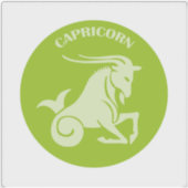 Capricorn, Zodiac Sign, Horoscope, Astrology シール (正面)