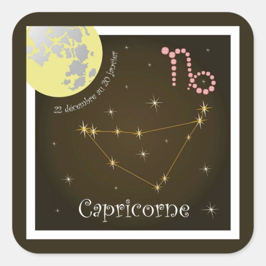 Capricorne 22 décembre au 20 janvier Aufkleber スクエアシール (正面)