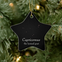 Capricornus Constellation セラミックオーナメント