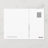 Captivaサンセットポストカード ポストカード (裏面)