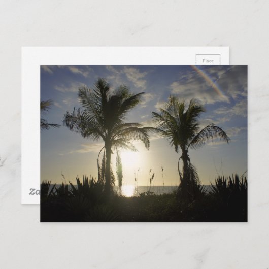 Captiva島 ポストカード (正面/裏面)