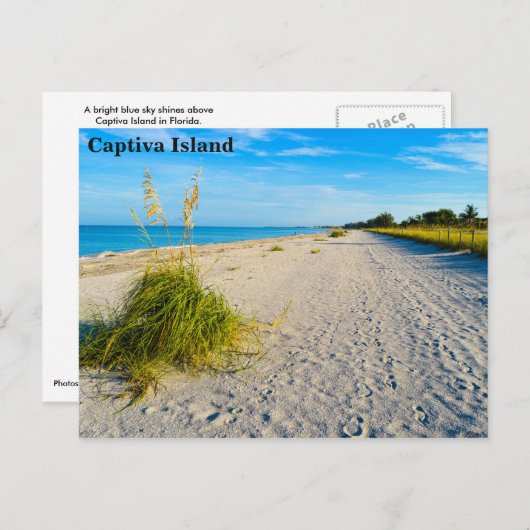 Captiva Islandはがき ポストカード (正面/裏面)