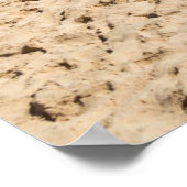 Captiva Island（フロリダ州） ポスター (角)