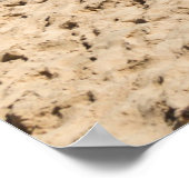 Captiva Island（フロリダ州） ポスター (角)