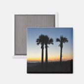 Captiva Island Palm Trees at Sunset Florida Magnet マグネット (正面/裏面)