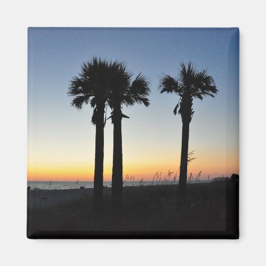 Captiva Island Palm Trees at Sunset Florida Magnet マグネット (正面)