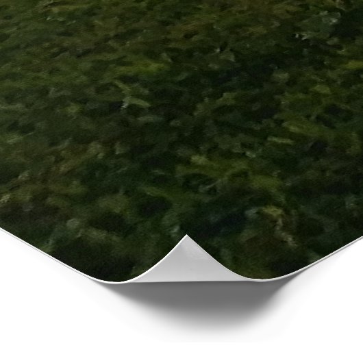 Capture the calm of day's end. ポスター (角)