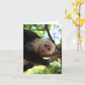 Capuchin猿Notecard カード (黄色い花)