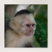 Capuchin monkey ジグソーパズル (縦)