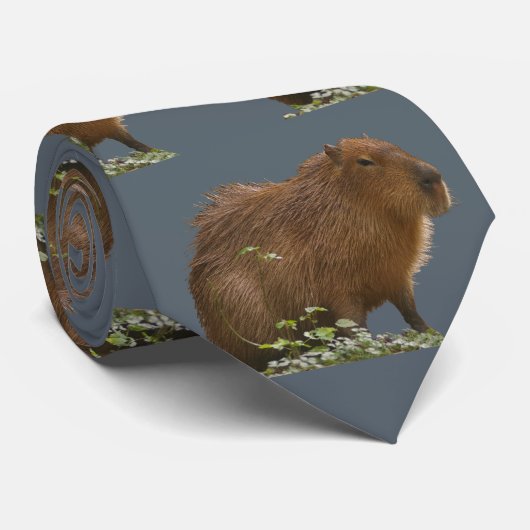 Capybara ネクタイ (ロール)