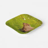 Capybara ペーパープレート (傾斜あり)