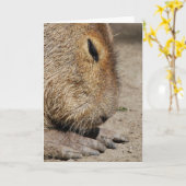 Capybara Greeting Card カード (黄色い花)