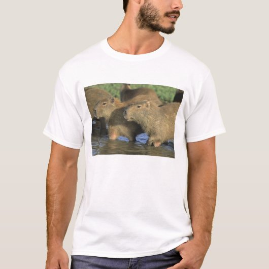 Capybara, Hydrochaeris hydrochaeris), world's Tシャツ (正面)