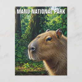 Capybara in Manu National Park Peru ポストカード