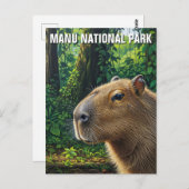 Capybara in Manu National Park Peru ポストカード (正面/裏面)