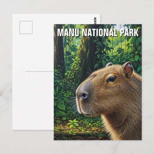 Capybara in Manu National Park Peru ポストカード (正面/裏面)