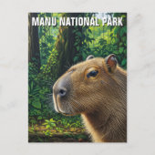 Capybara in Manu National Park Peru ポストカード (正面)