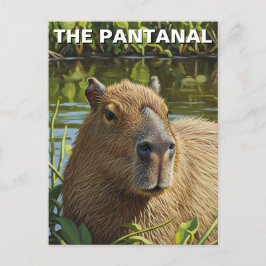 Capybara in The Pantanal ポストカード