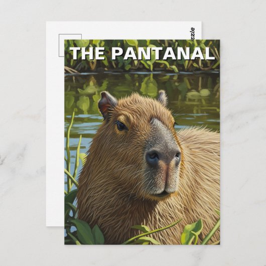 Capybara in The Pantanal ポストカード (正面/裏面)