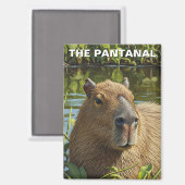 Capybara in The Pantanal マグネット (正面/裏面)