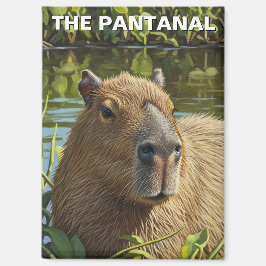 Capybara in The Pantanal マグネット
