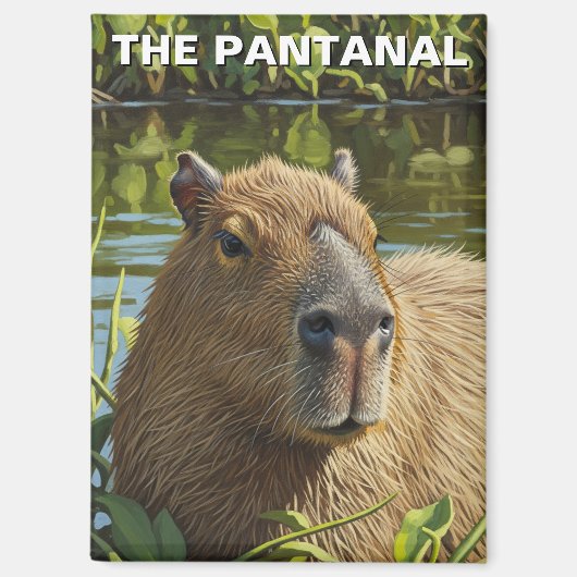 Capybara in The Pantanal マグネット (正面)