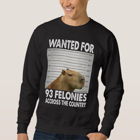 Capybara Mugshot Wanted For 93 Felonies Across The スウェットシャツ (正面)